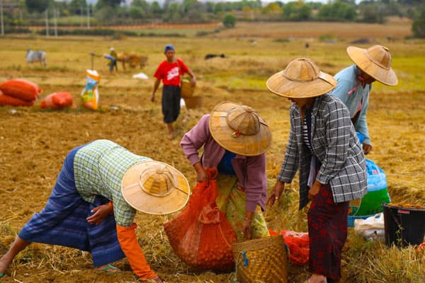 Myanmar